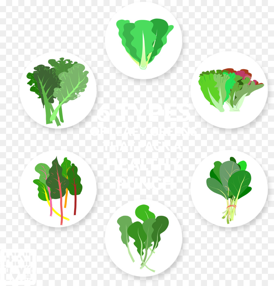 Légume Feuille，Feuille PNG