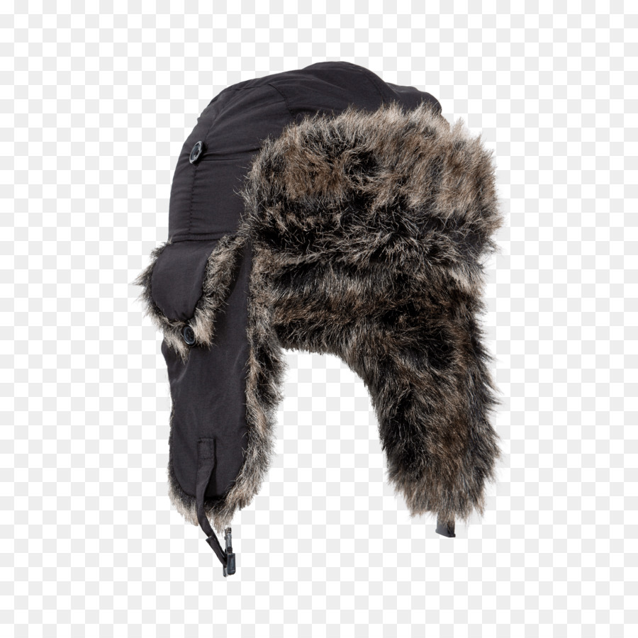 Chapeau De Fourrure，Hiver PNG