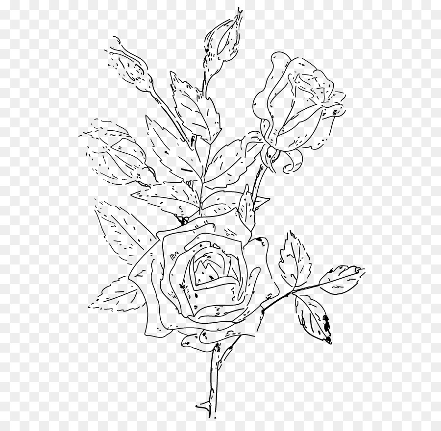 Dessin De Roses，Contour PNG