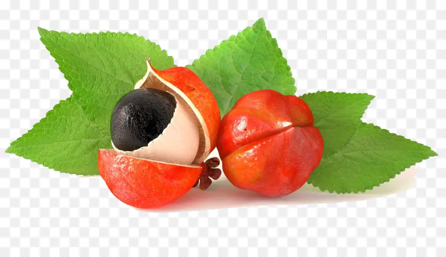 Guarana，Fruit PNG