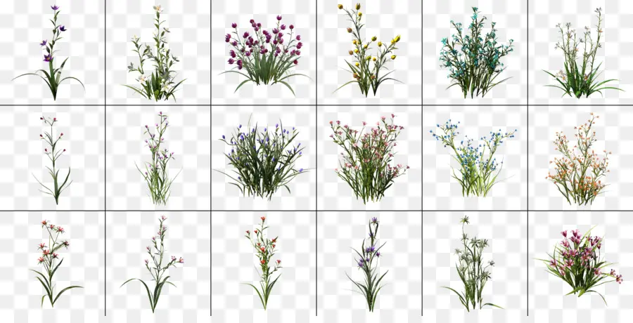 Fleurs，Plantes PNG