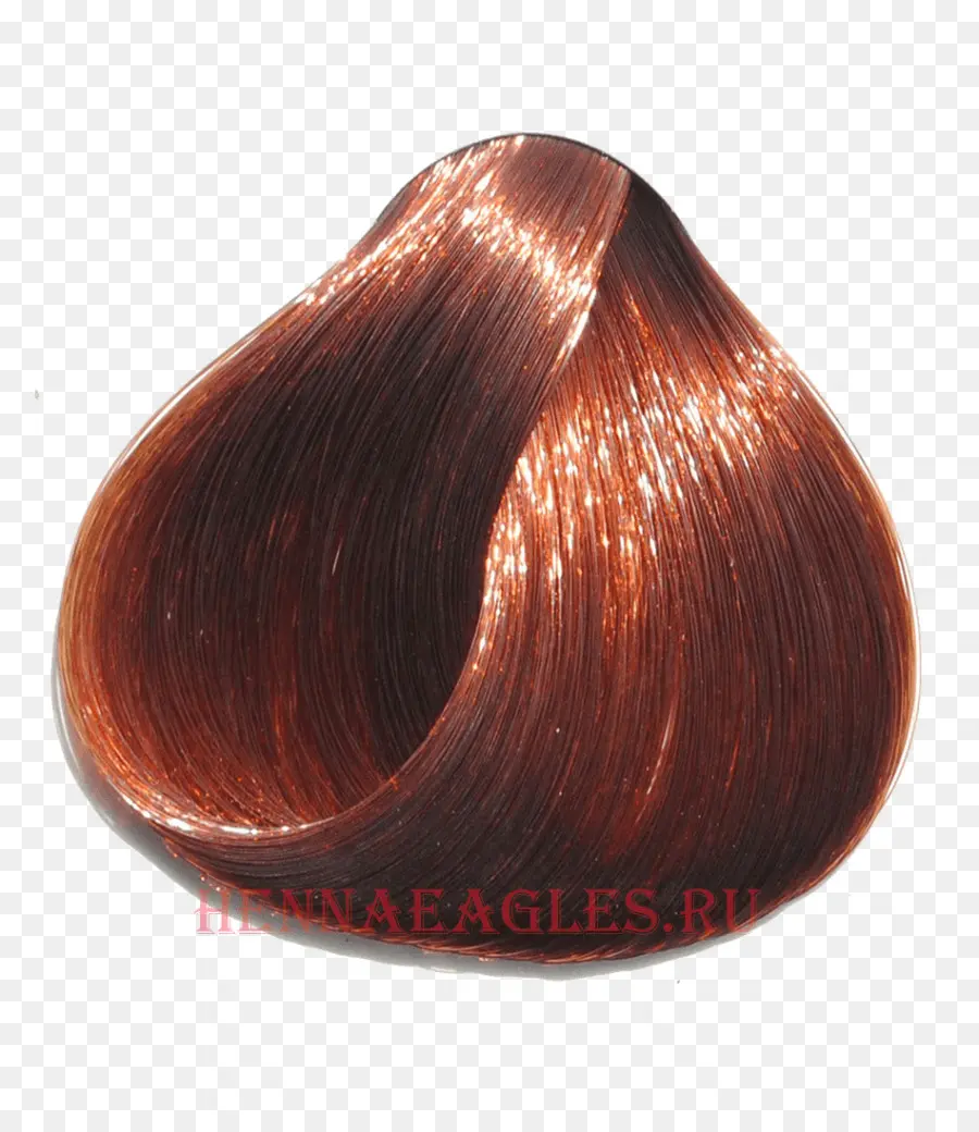 Cheveux Bruns，Couleur PNG