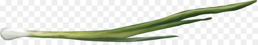 L Oignon，Légumes PNG