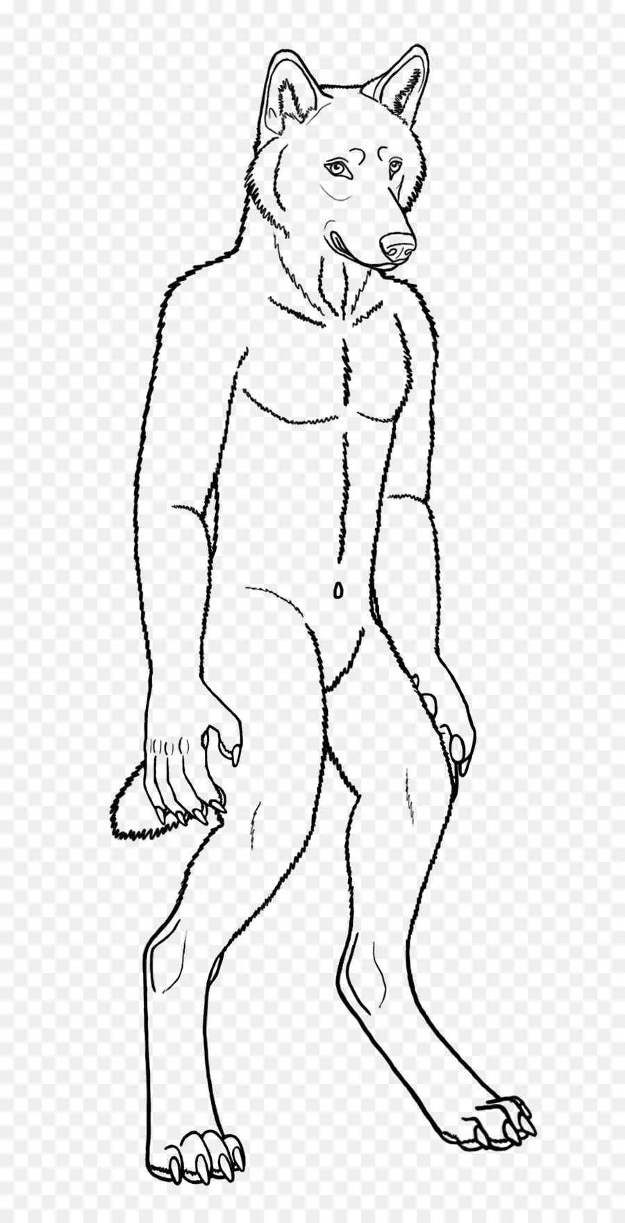 Loup Anthropomorphe，Loup PNG