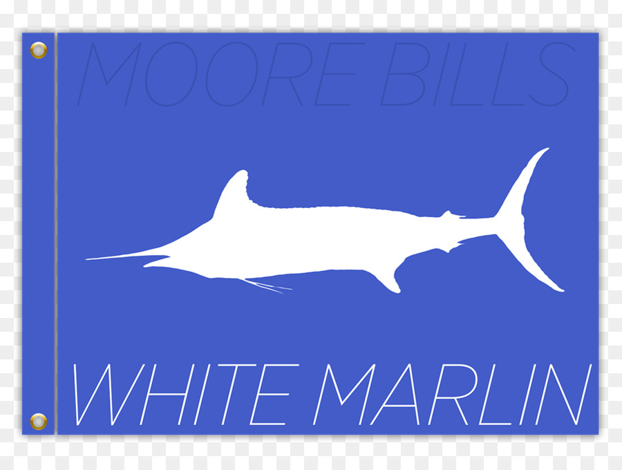 Le Makaire Blanc De L Ouvrir，Requin PNG