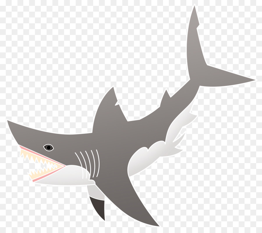 Requin De Dessin Animé，Mer PNG