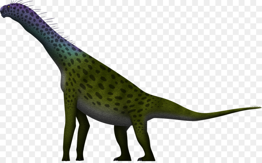 Dinosaure à Long Cou，Préhistorique PNG