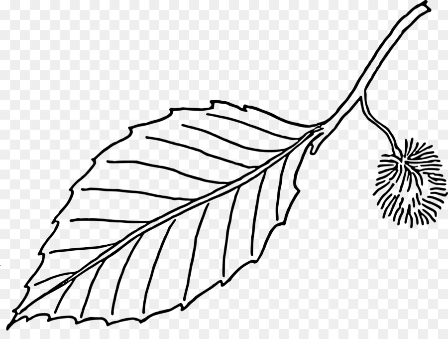 Feuille，Arbre PNG