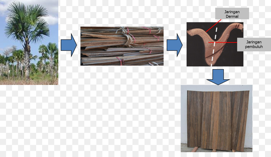 Maison，Teinture à Bois PNG