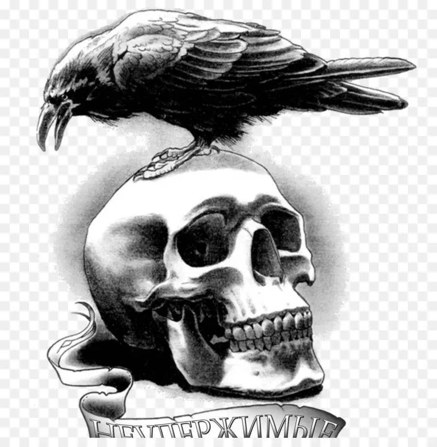 Crâne Et Corbeau，La Mort PNG