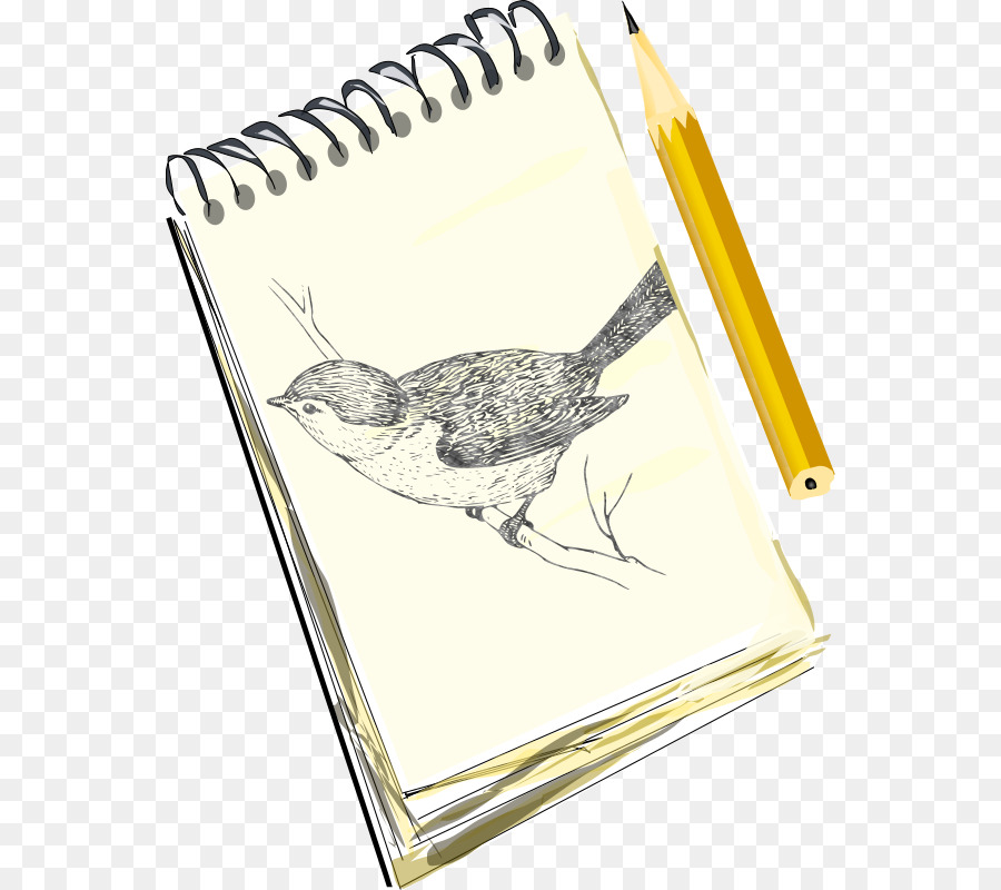 Carnet De Croquis，Oiseau PNG