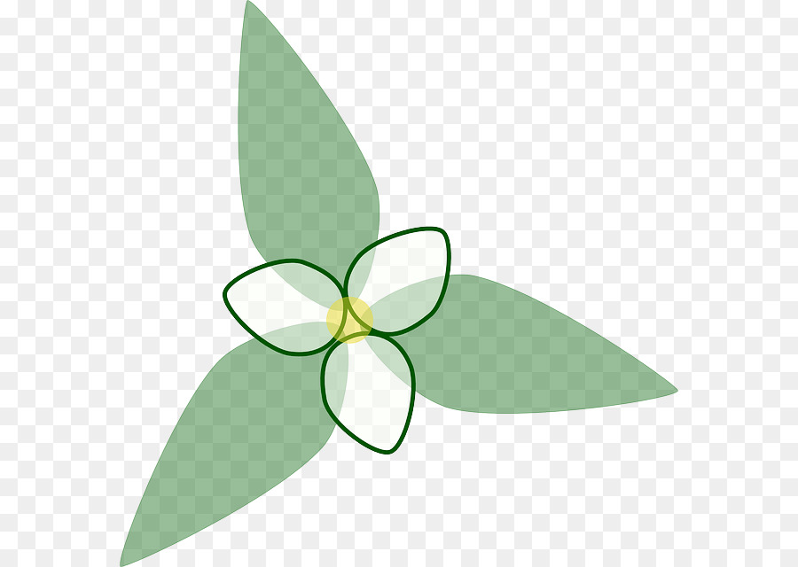 Papillon Vert，Insecte PNG