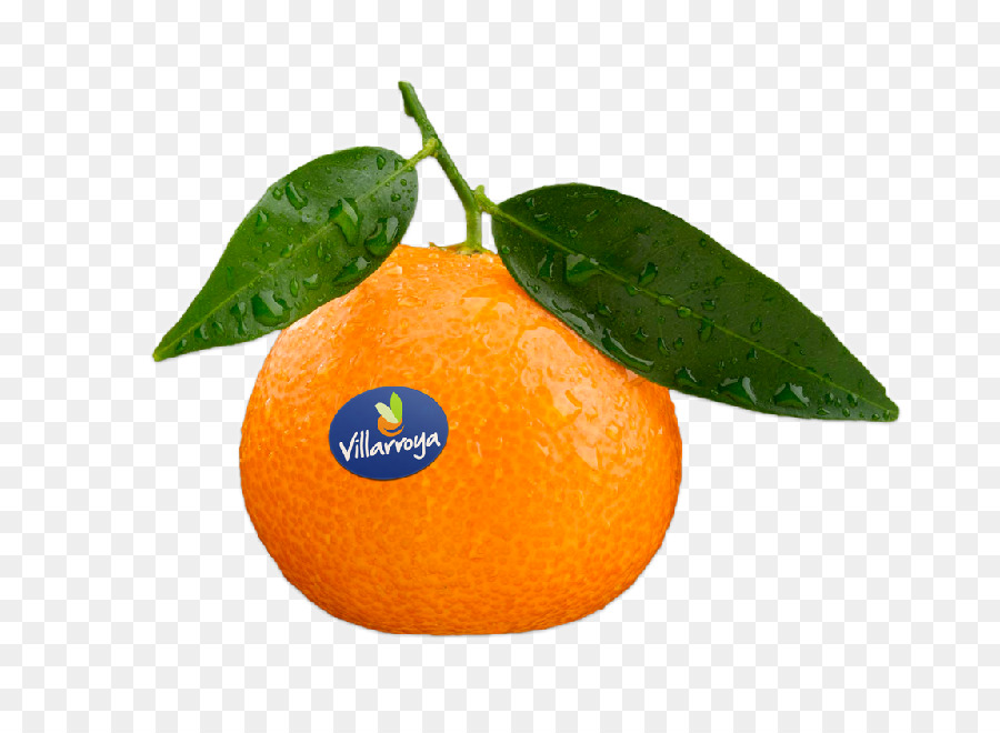 Orange，Agrumes PNG