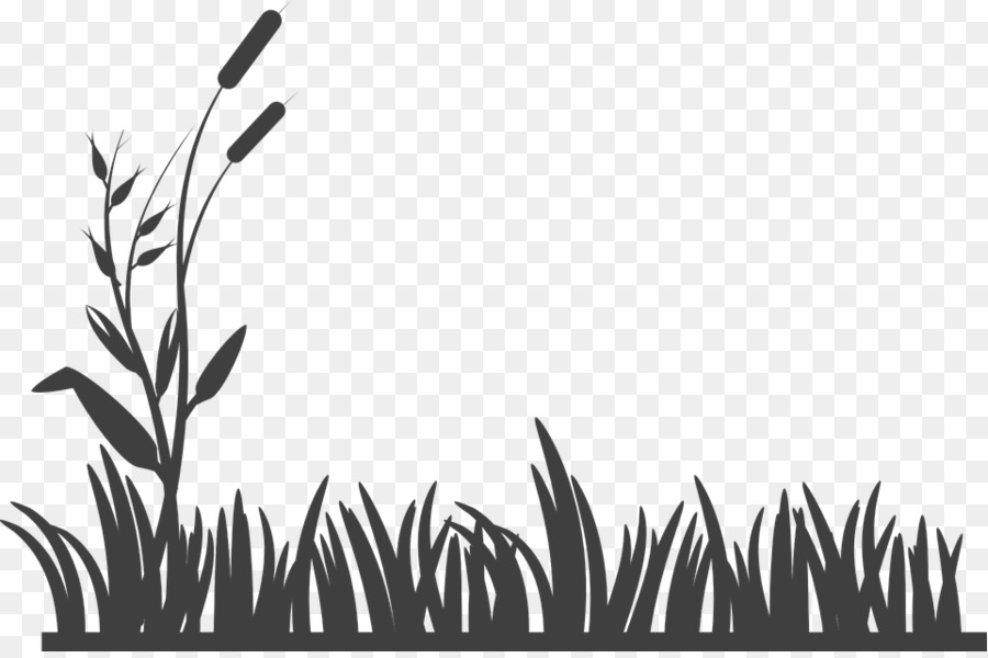 Herbe，Plantes PNG