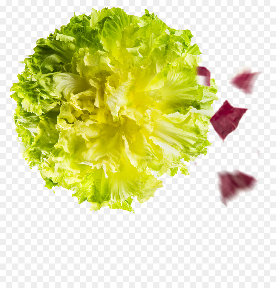 Rouge Des Feuilles De Laitue，Laitue Romaine PNG