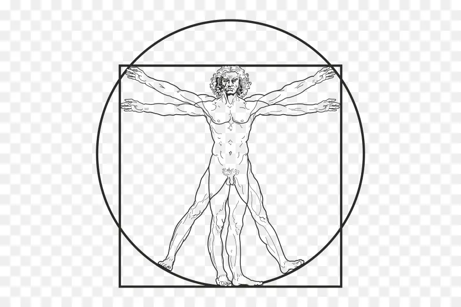 L'homme De Vitruve，Léonard De Vinci PNG