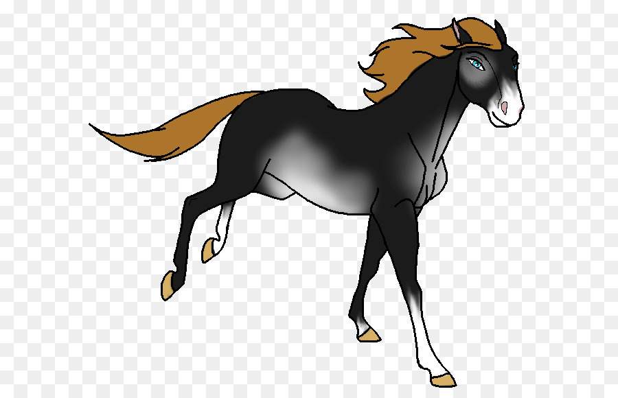 Cheval，équidé PNG