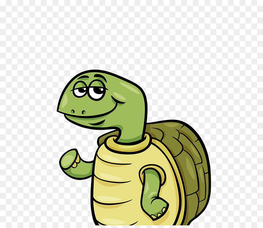 Tortue De Dessin Animé，Vert PNG