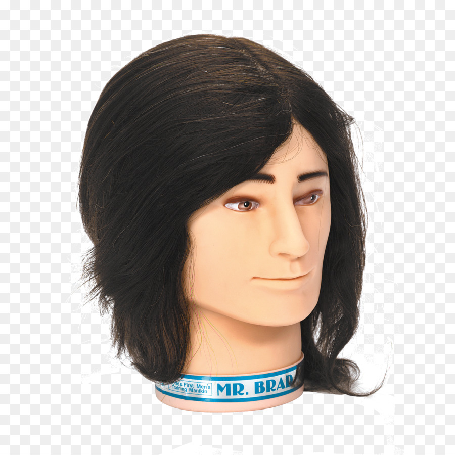 Tête De Mannequin，Cheveux PNG