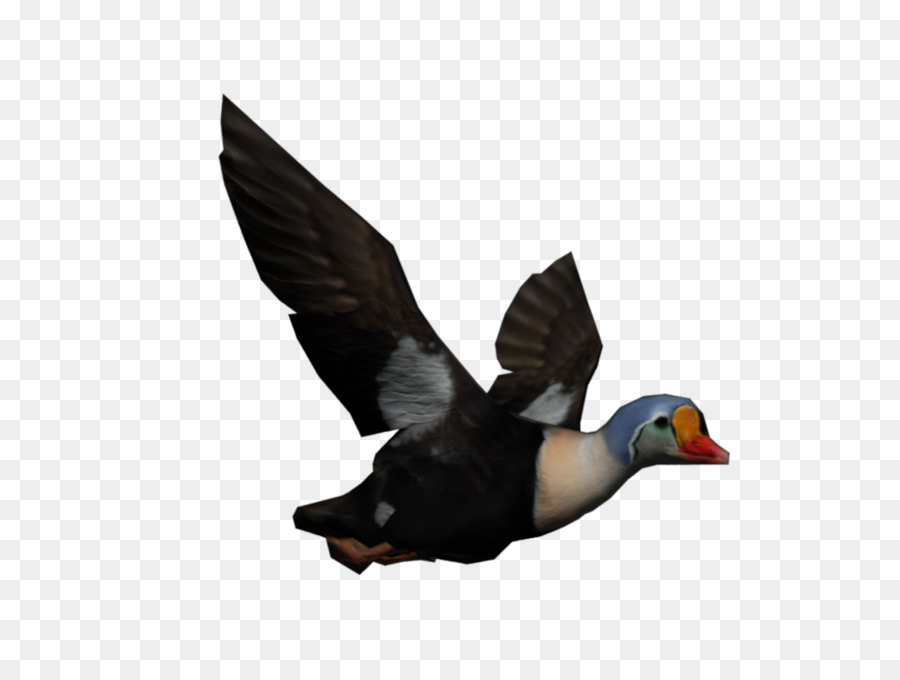 Canard，Renne PNG