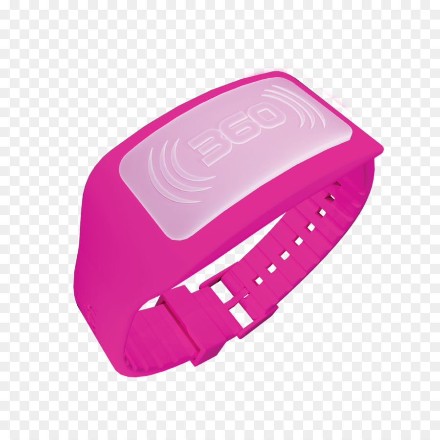 Bracelet，Insecte PNG