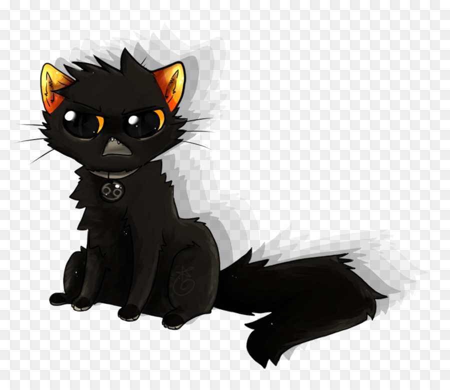 Chat Noir，Chaton PNG