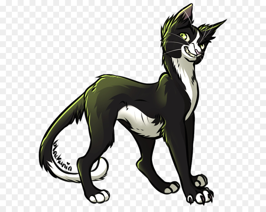 Chat Noir，Animal De Compagnie PNG