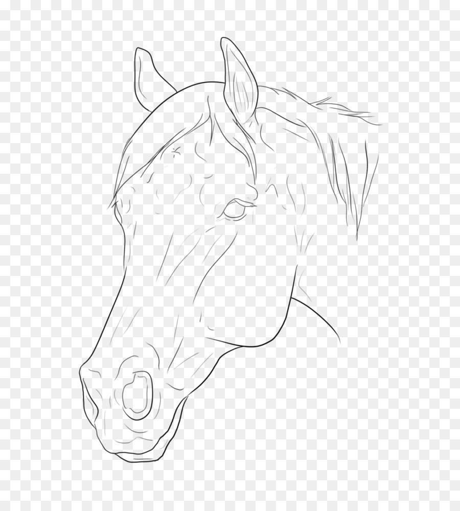 Croquis De Cheval，Animal PNG