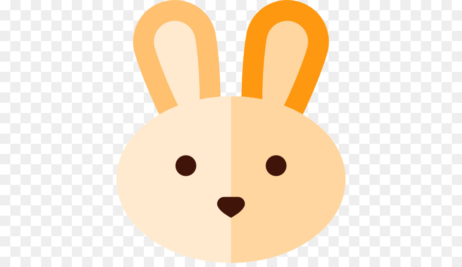 Visage De Lapin，Lapin PNG