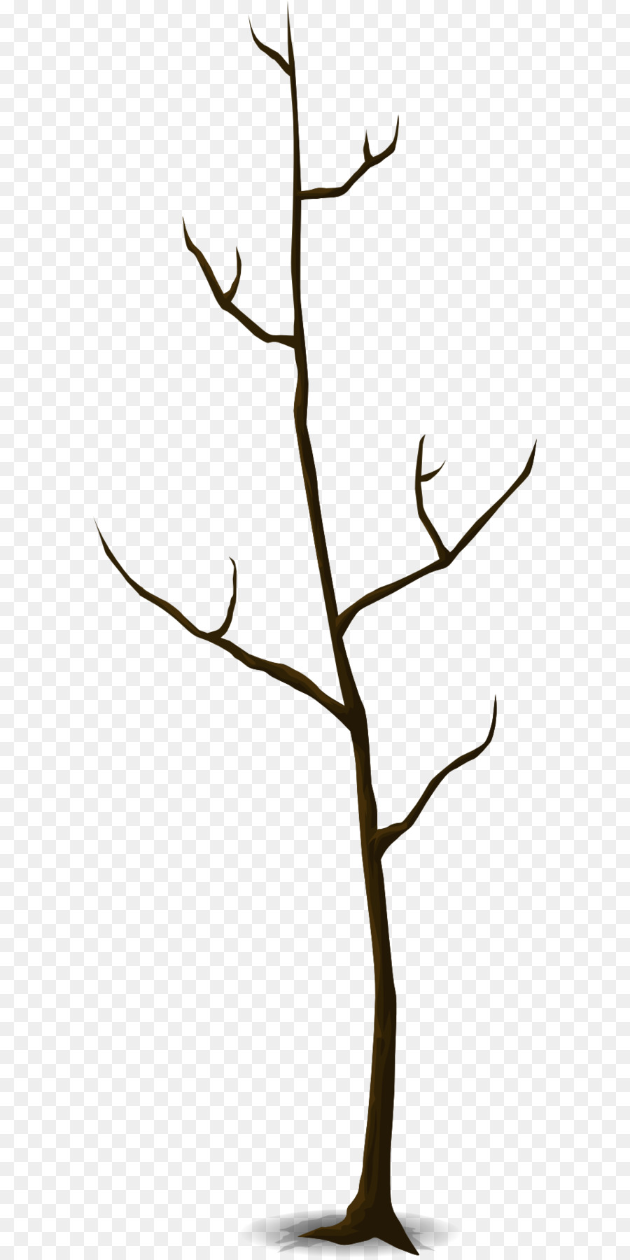 Arbre Nu，Bifurquer PNG