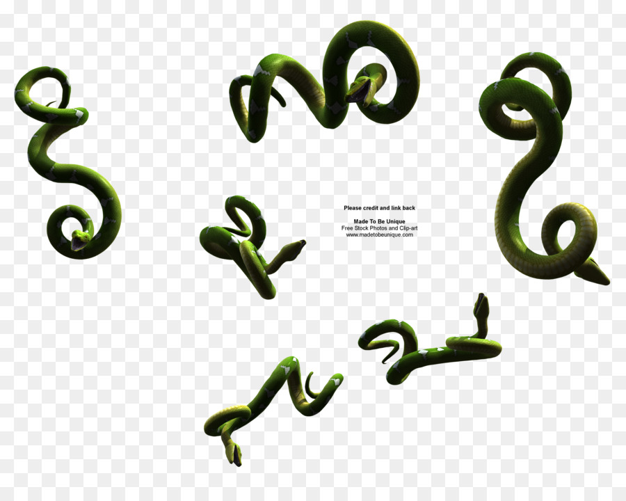 Serpents Verts，Reptile PNG