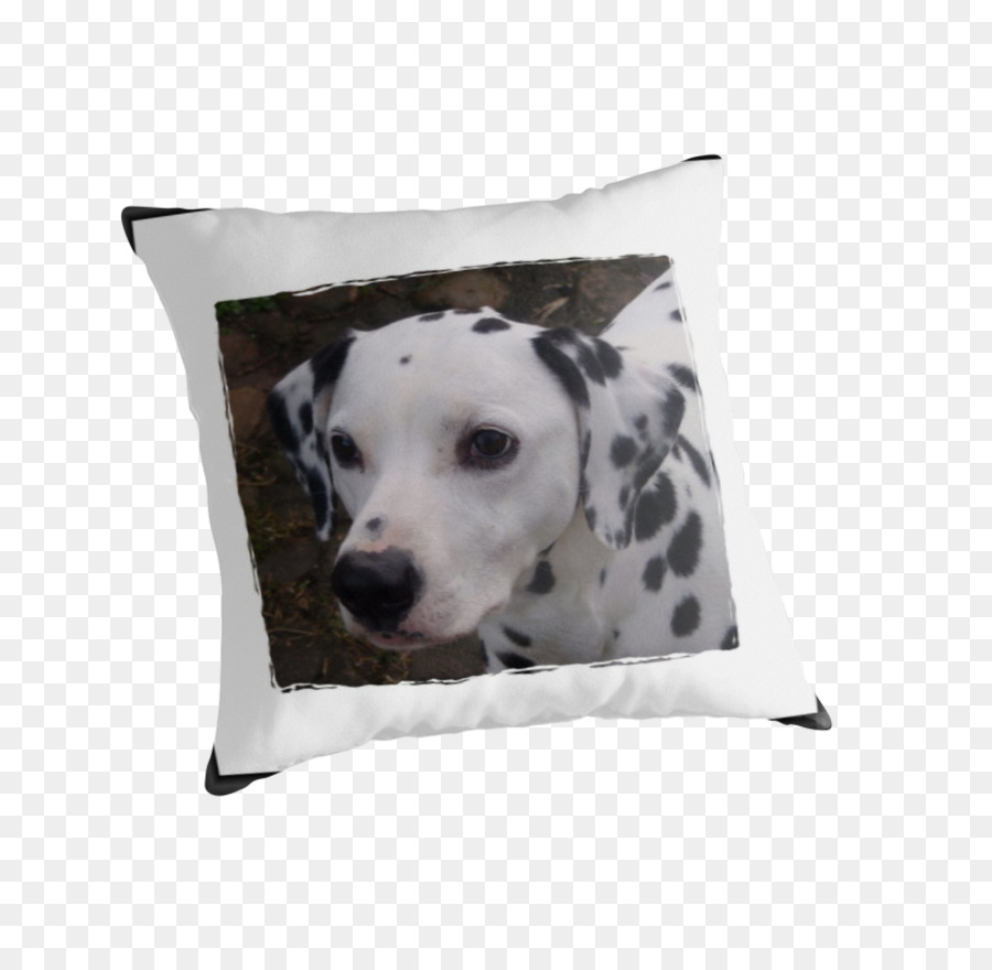 Dalmatien Chien，Race De Chien PNG