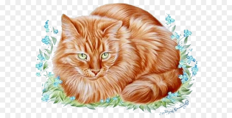 Chat Orange，Félin PNG