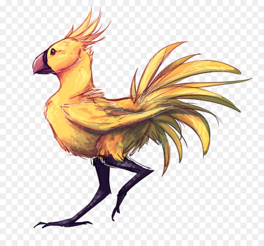 Oiseau Fantastique，Plumes PNG