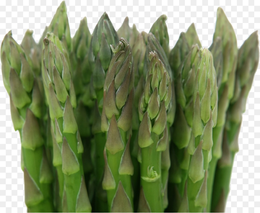 Asperges，Légumes PNG