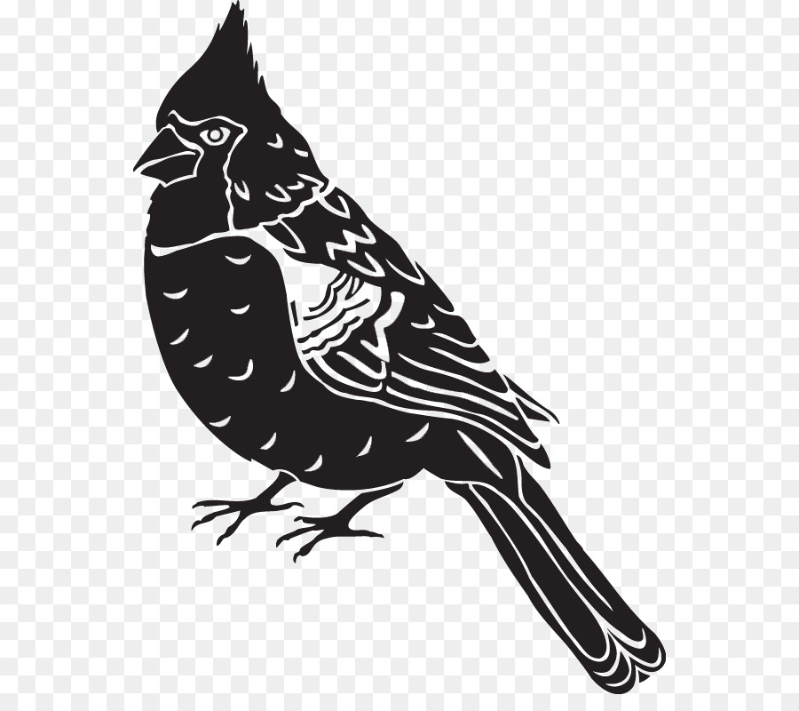 Illustration D'oiseau，Moineau PNG