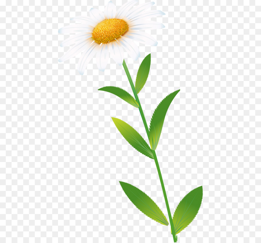 Fleur Jaune，Tige PNG