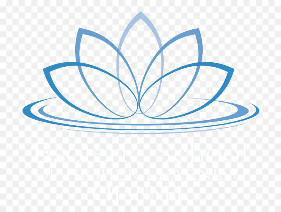 Lotus，Eau PNG