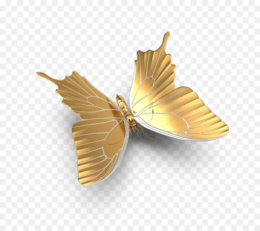 Papillon Doré，3d PNG