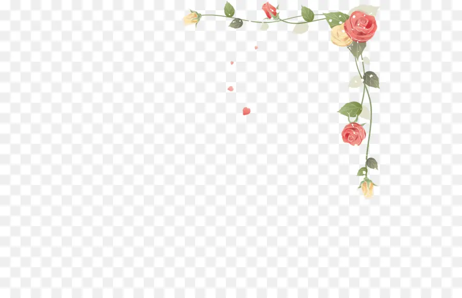 Roses Roses，Floral PNG