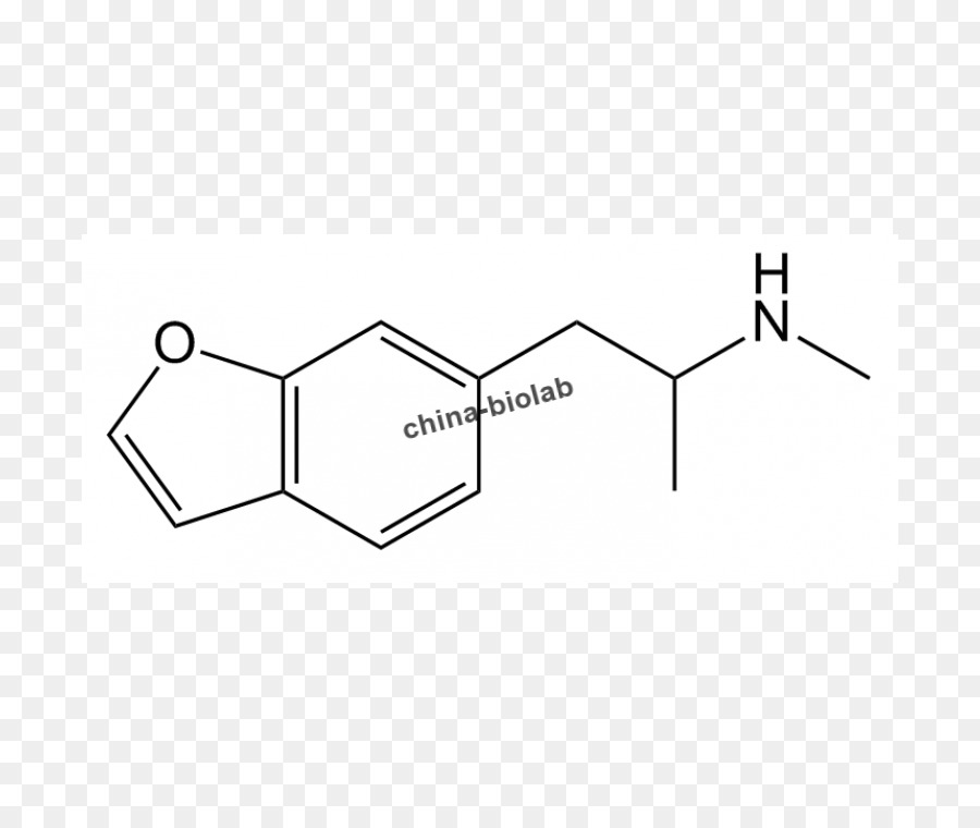 Albuterol，Le Métabolisme PNG