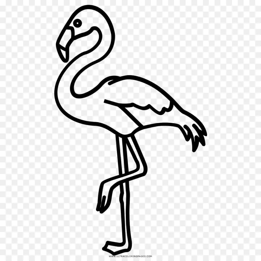 Les Flamants Roses，Bec PNG