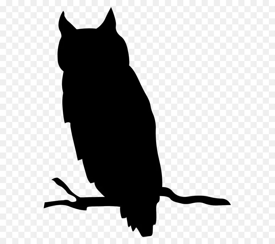 Silhouette De Hibou，Branche D'arbre PNG