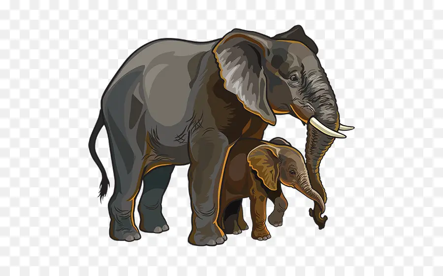 Éléphants，Mère PNG