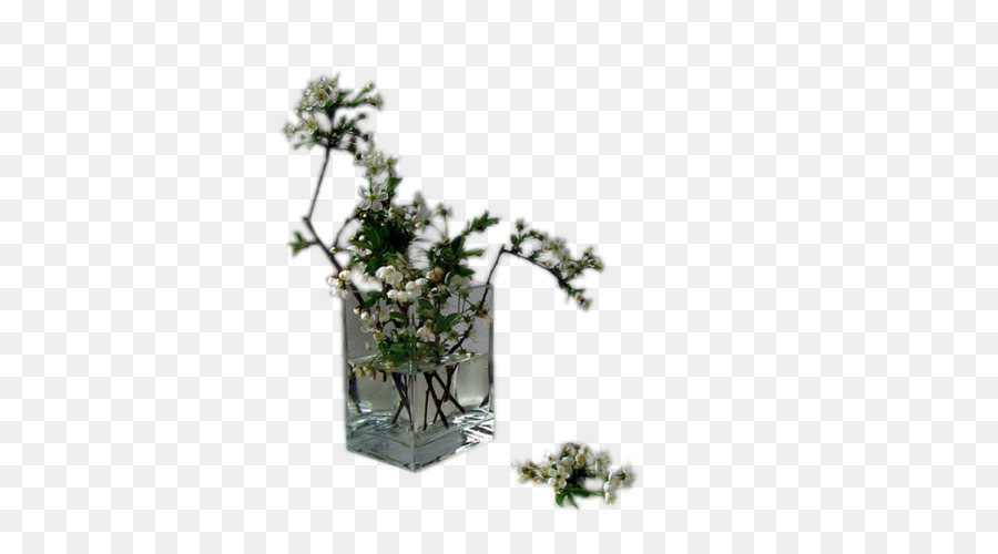 Brindille，Flowerpot PNG