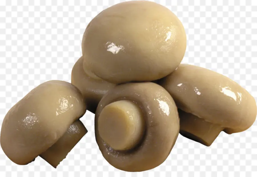 Champignons，Légume PNG