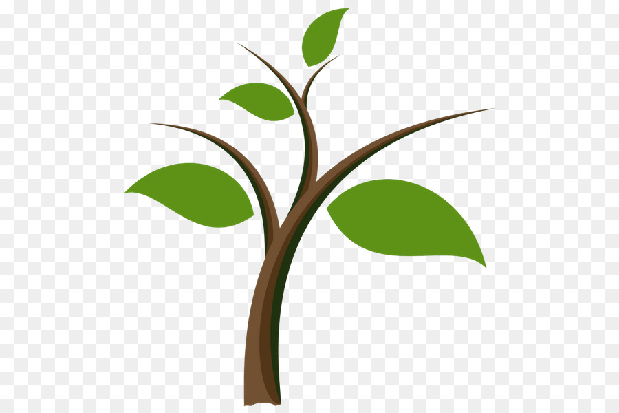 Arbre，Feuilles PNG