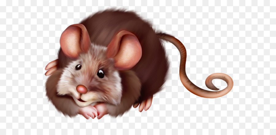 Souris Mignonne，Rongeur PNG