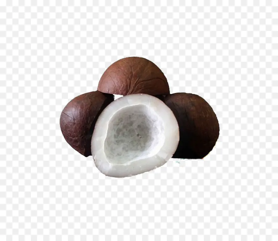 Noix De Coco，Fruit PNG