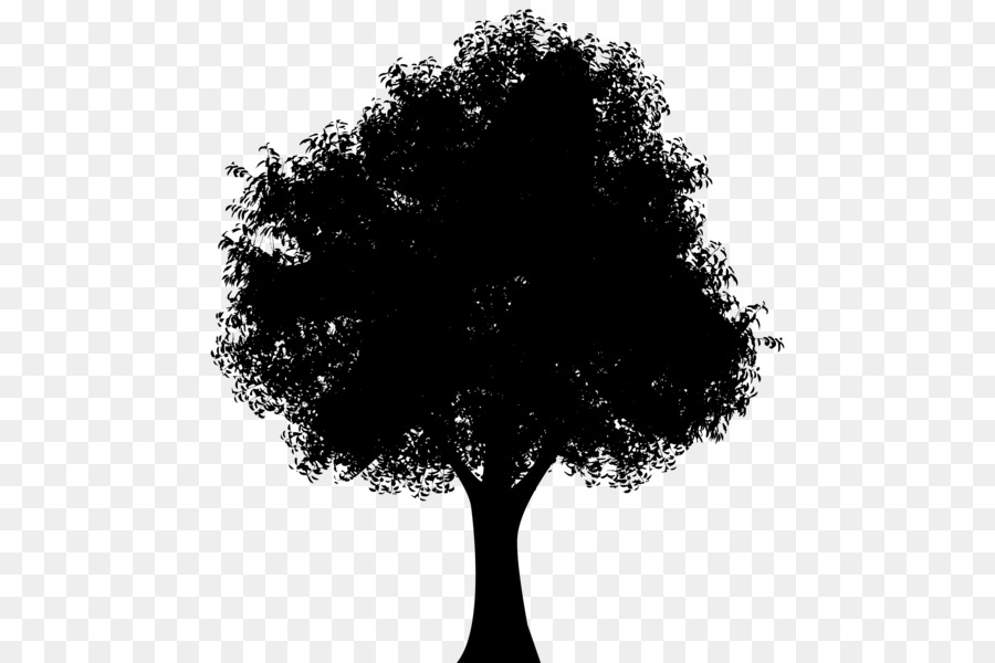 Arbre，Silhouette PNG